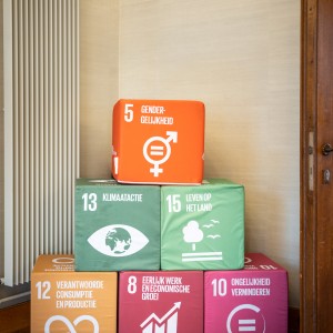 SDG's - Sustainable Development Goals